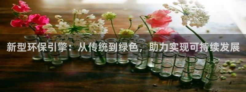 清远顺盈娱乐集团招聘：新型环保引擎：从传统到绿色，助力实现可