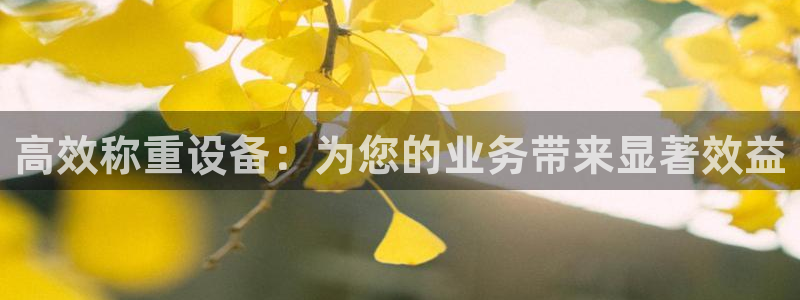 顺盈娱乐市究7276O