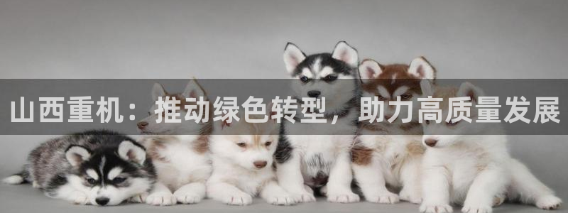 顺盈娱乐官网登录