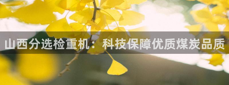 顺盈娱乐最高代理