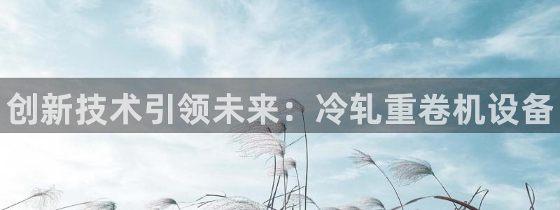 顺盈娱乐招商片判官333OO：创新技术引领未来：冷轧重卷机设