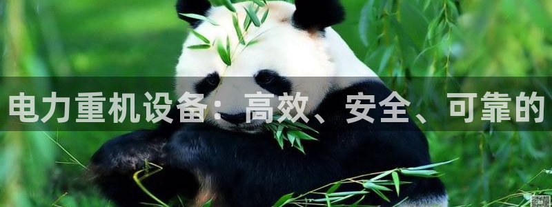 清远顺盈娱乐公司