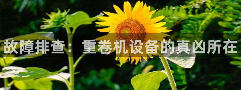 顺盈娱乐 炤企鹅779O3：故障排查：重卷机设备的真凶所在