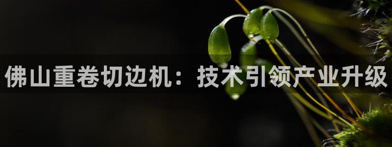 顺盈娱乐是什么意思