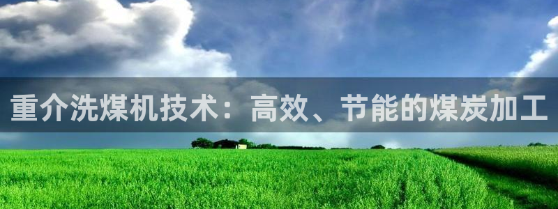 顺盈平台娱乐：重介洗煤机技术：高效、节能的煤炭加工