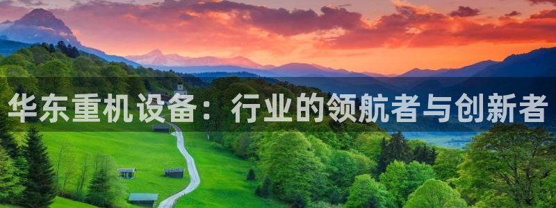 顺盈2娱乐游戏开发商：华东重机设备：行业的领航者与创新者