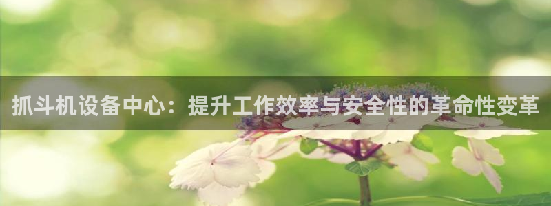 顺盈娱乐李333OO：抓斗机设备中心：提升工作效率与安全性的