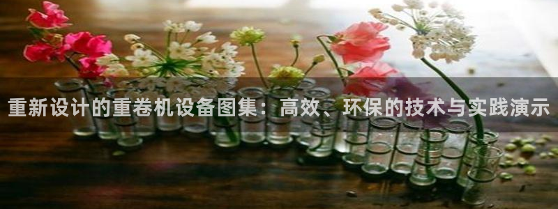 清远顺盈娱乐文案：重新设计的重卷机设备图集：高效、环保的技术