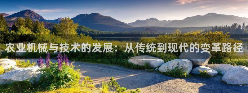 顺盈娱乐场所：农业机械与技术的发展：从传统到现代的变革路径