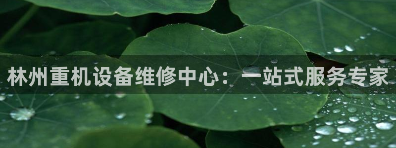 清远顺盈娱乐公司：林州重机设备维修中心：一站式服务专家