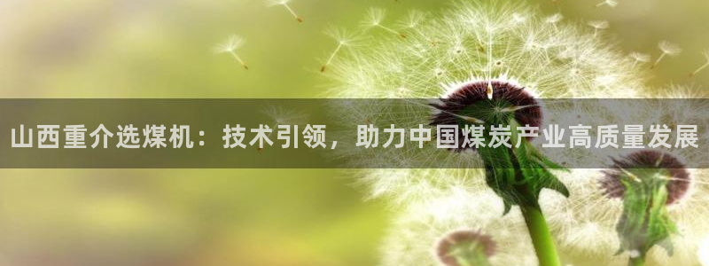 顺盈2娱乐注册：山西重介选煤机：技术引领，助力中国煤炭产业高