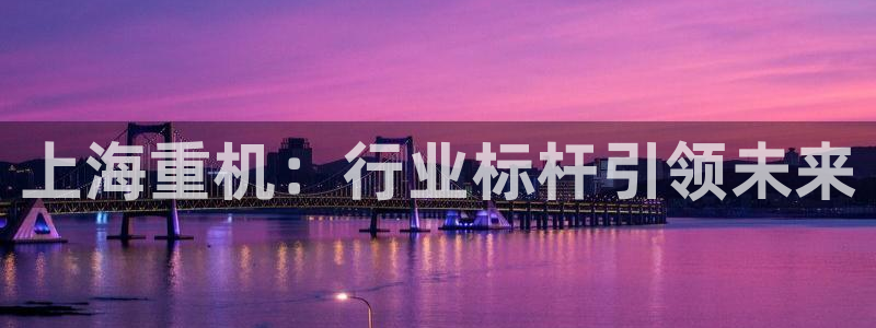 盈顺休闲娱乐室门票价格：上海重机：行业标杆引领未来