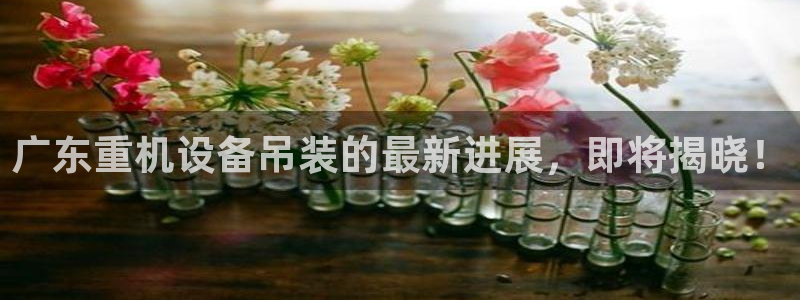 顺盈娱乐登录：广东重机设备吊装的最新进展，即将揭晓！