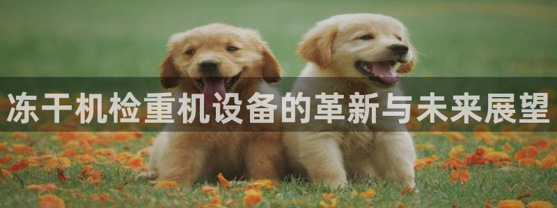 顺盈平台娱乐怎么样啊：冻干机检重机设备的革新与未来展望