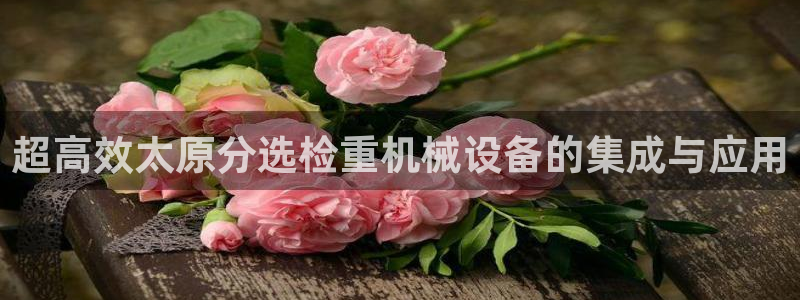 清远顺盈游戏娱乐：超高效太原分选检重机械设备的集成与应用