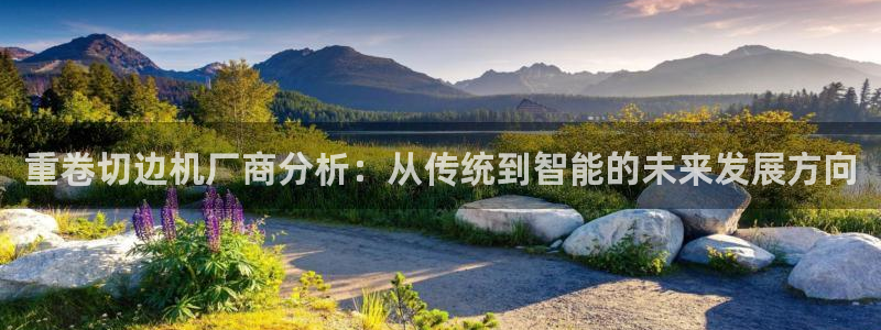 顺盈娱乐官网登录：重卷切边机厂商分析：从传统到智能的未来发展