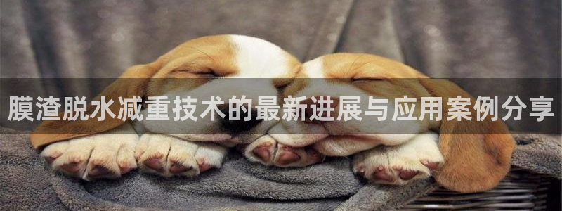 顺盈娱乐注册平台怎么样：膜渣脱水减重技术的最新进展与应用案例