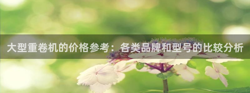 娱乐顺盈国际：大型重卷机的价格参考：各类品牌和型号的比较分析