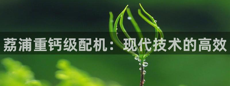 顺盈娱乐解答7276o：荔浦重钙级配机：现代技术的高效