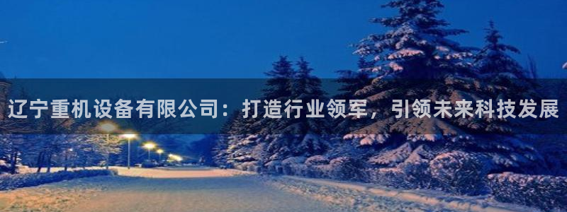 顺盈娱乐地址：辽宁重机设备有限公司：打造行业领军，引领未来科