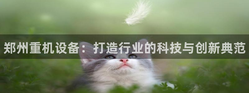 顺盈娱乐形究7276O