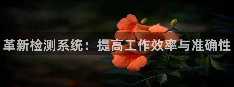 优盈娱乐顺122222：革新检测系统：提高工作效率与准确性