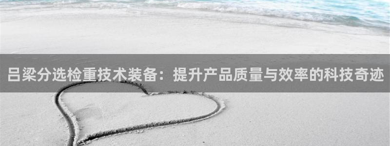 优盈娱乐耐顺63390：吕梁分选检重技术装备：提升产品质量与