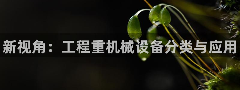 顺盈娱乐平台注册地址