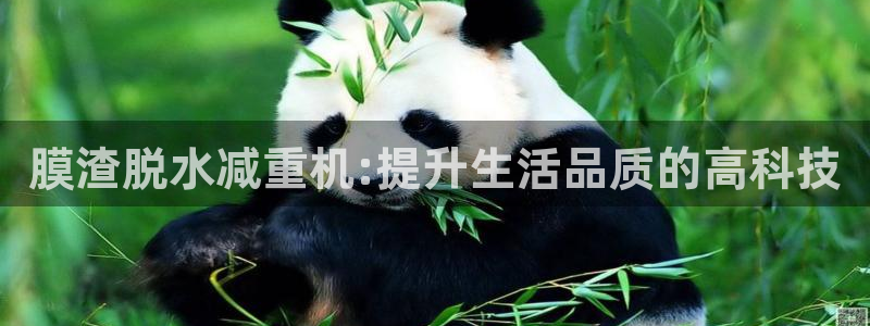 顺盈娱乐注册平台是什么