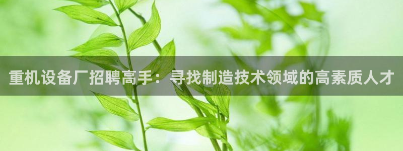 顺盈娱乐最高代理是谁啊：重机设备厂招聘高手：寻找制造技术领域