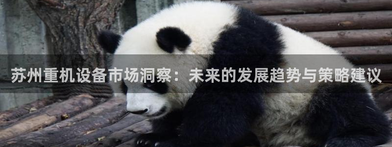 顺盈娱乐在线注册网址：苏州重机设备市场洞察：未来的发展趋势与