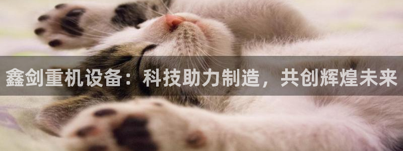 顺盈娱乐解答7276o：鑫剑重机设备：科技助力制造，共创辉煌