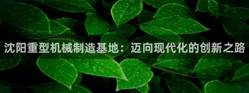 顺盈儿童娱乐