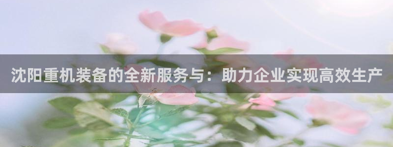 清远顺盈娱乐公司招聘吗：沈阳重机装备的全新服务与：助力企业实