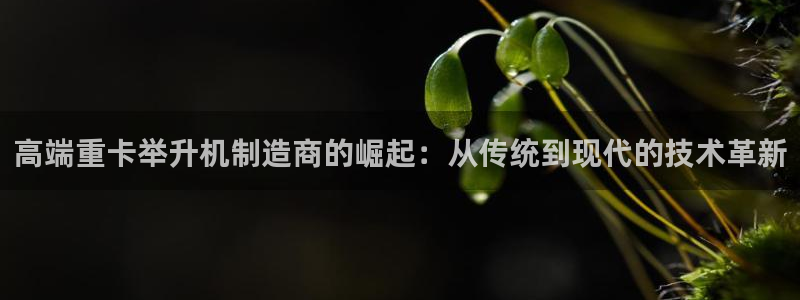 顺盈2娱乐滴qv382223