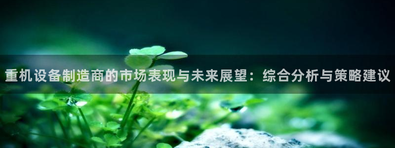 顺盈娱乐招商木判官333OO：重机设备制造商的市场表现与未来