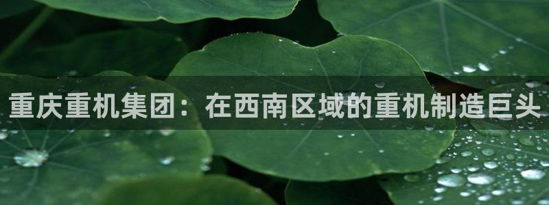 顺盈娱乐下载官网最新版