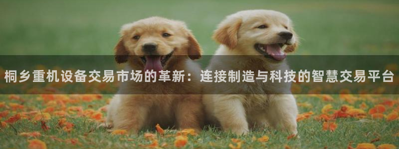 顺盈娱乐注册更究333OO