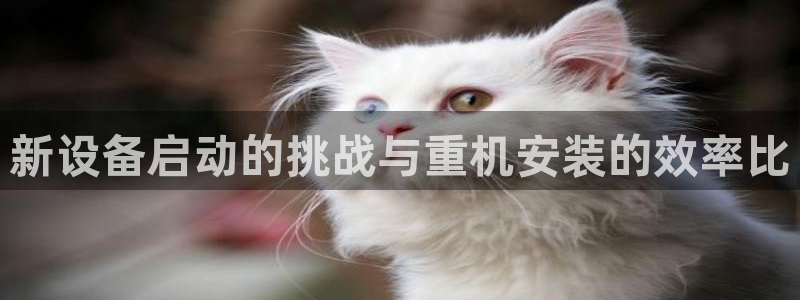 顺盈娱乐注册问一问：新设备启动的挑战与重机安装的效率比