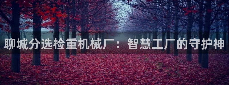 顺盈娱乐队究7276O