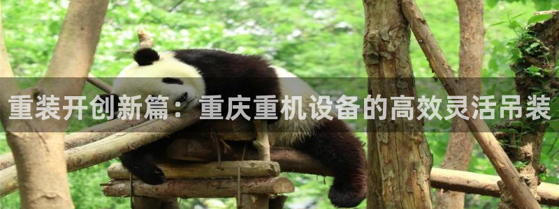 顺盈娱乐注册官网：重装开创新篇：重庆重机设备的高效灵活吊装