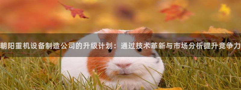 顺盈娱乐注册官网：朝阳重机设备制造公司的升级计划：通过技术革