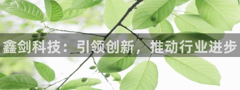 清远顺盈娱乐公司工作：鑫剑科技：引领创新，推动行业进步