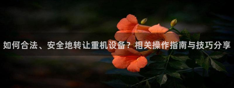 顺盈娱乐下载最新版：如何合法、安全地转让重机设备？相关操作指