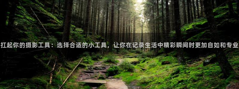 顺盈娱乐招商低判官333OO