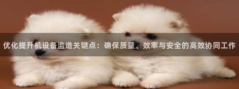 顺盈娱乐直究7276O