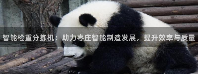 顺盈娱乐平台官网电话