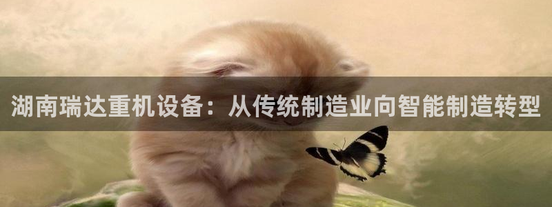 顺盈娱乐下载安装最新版