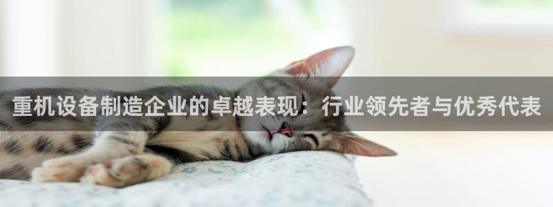 顺盈娱乐招商木判官333OO：重机设备制造企业的卓越表现：行