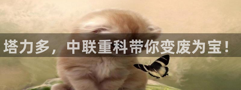顺盈娱乐是什么：塔力多，中联重科带你变废为宝！